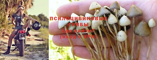 мдма Козельск